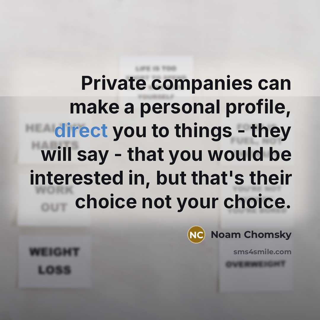 “Private companies can make a personal profile, direct you to…” quote by Noam Chomsky