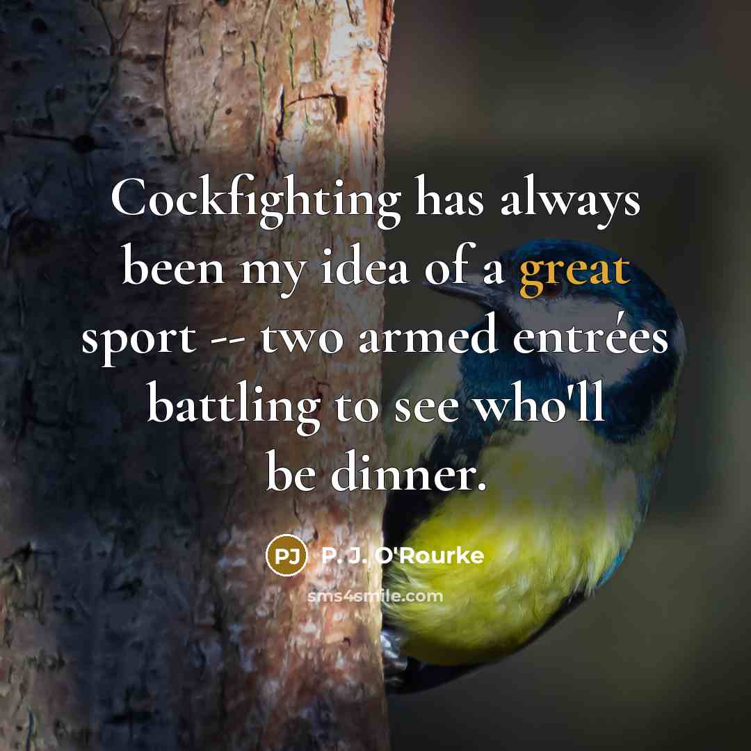 “Cockfighting has always been my idea of a great sport…” quote by P. J. O'Rourke
