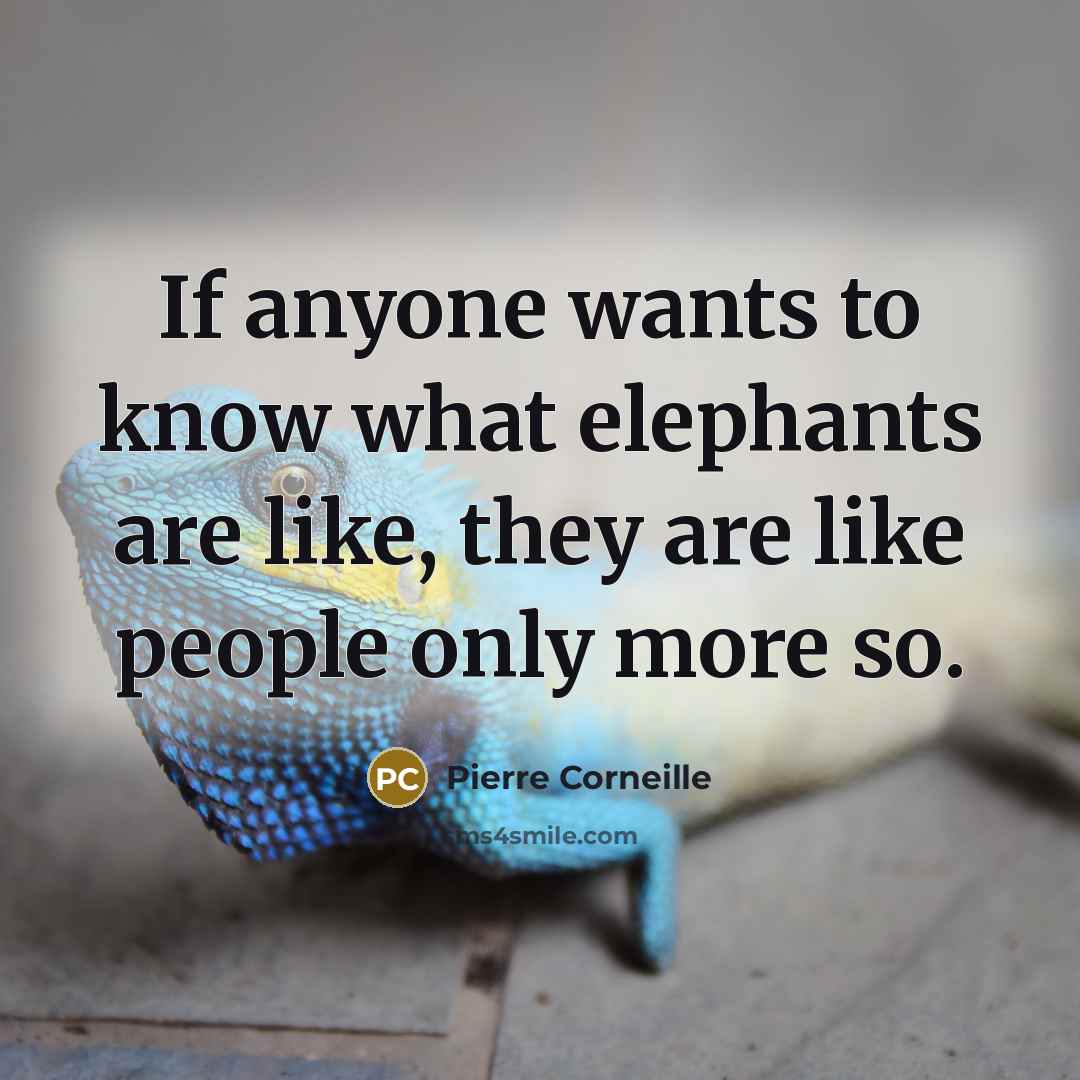 “If anyone wants to know what elephants are like, they…” quote by Pierre Corneille