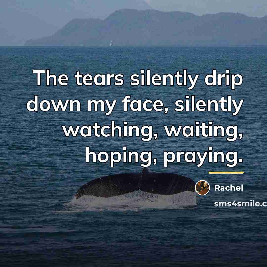 “The tears silently drip down my face, silently watching, waiting,…” quote by Rachel