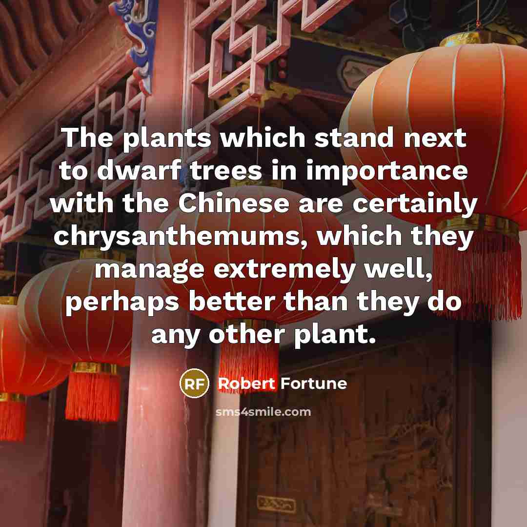 “The plants which stand next to dwarf trees in importance…” quote by Robert Fortune