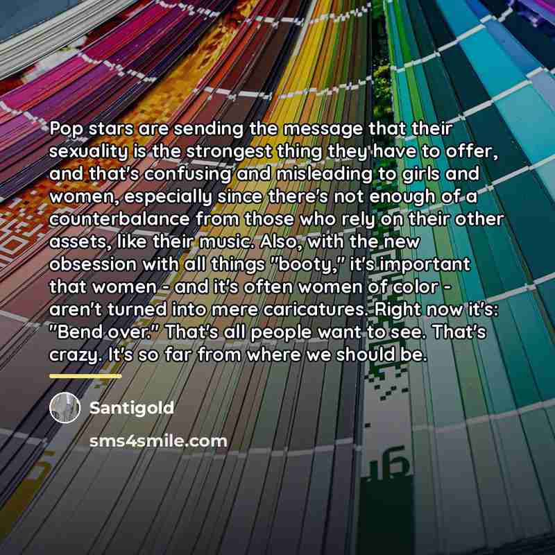 “Pop stars are sending the message that their sexuality is…” quote by Santigold