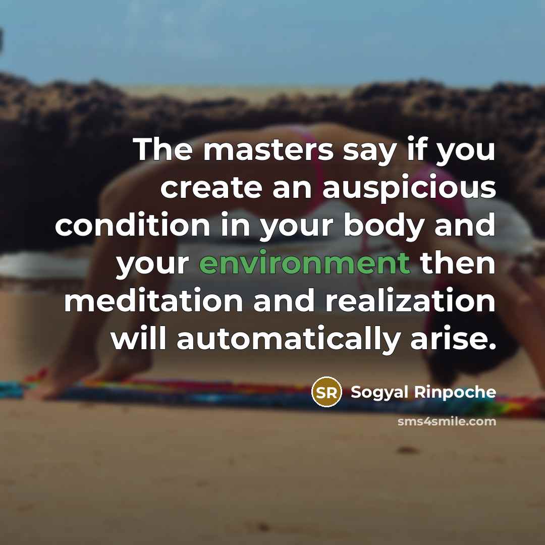 “The masters say if you create an auspicious condition in…” quote by Sogyal Rinpoche