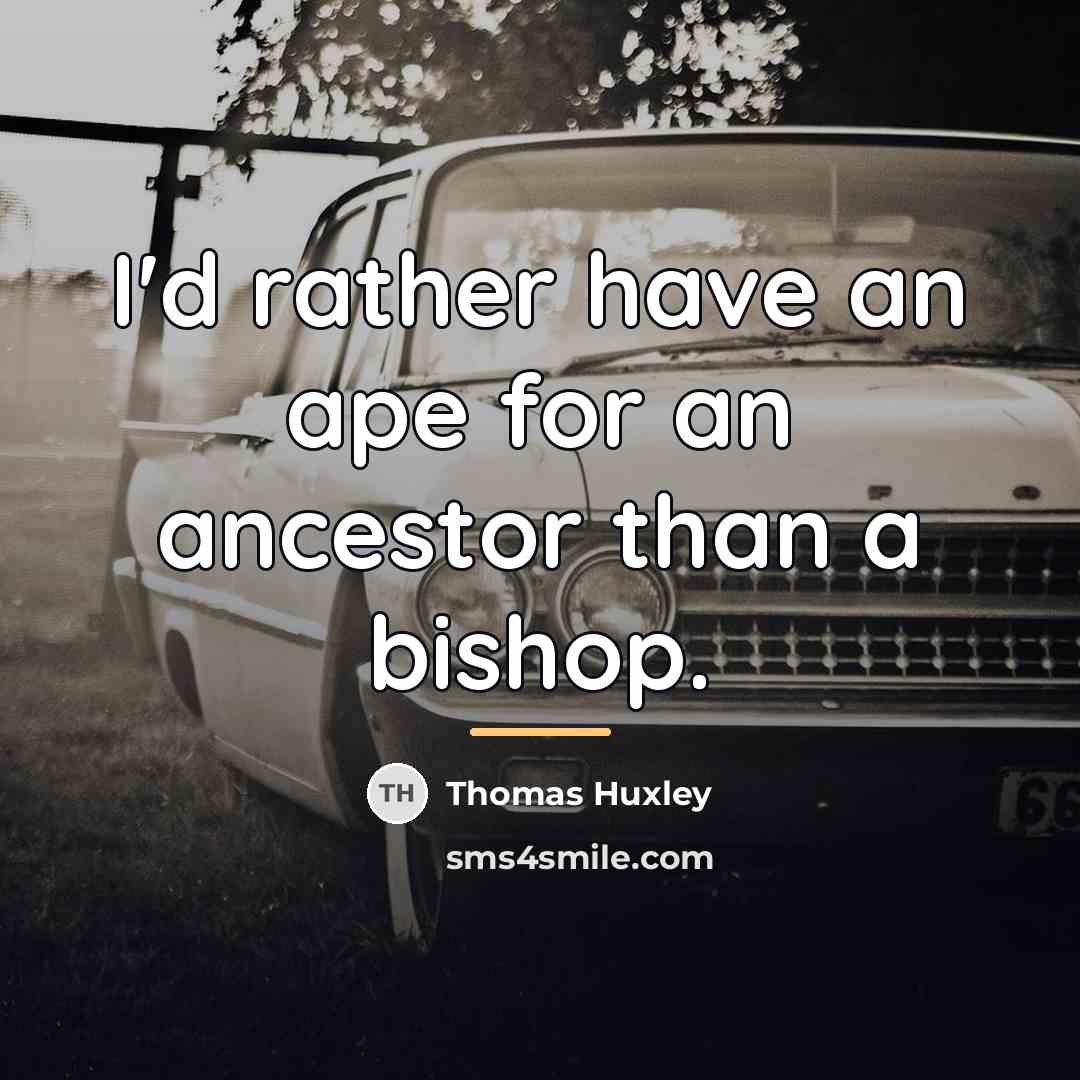“I'd rather have an ape for an ancestor than a…” quote by Thomas Huxley