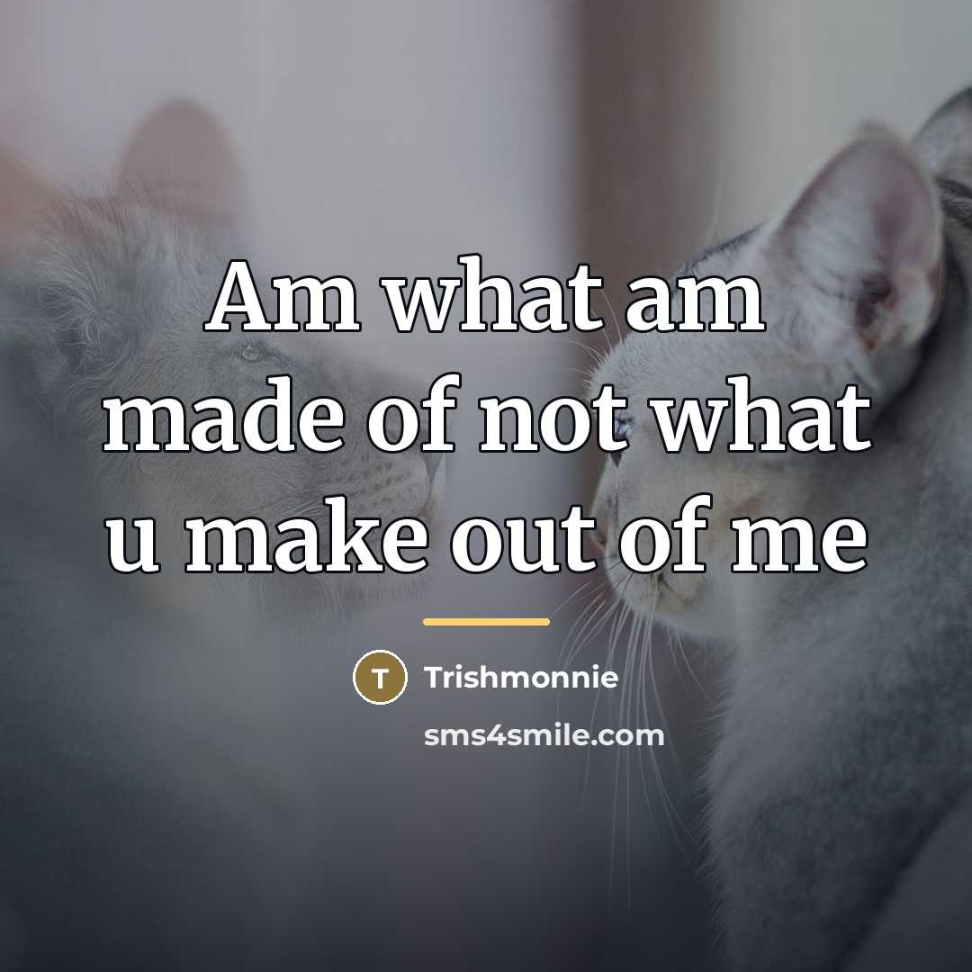 “Am what am made of not what u make out…” quote by Trishmonnie