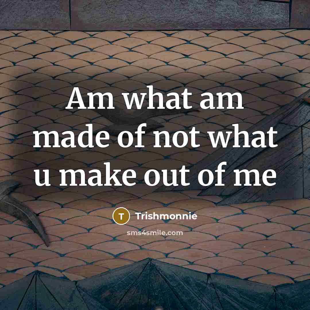 “Am what am made of not what u make out of me” quote by Trishmonnie