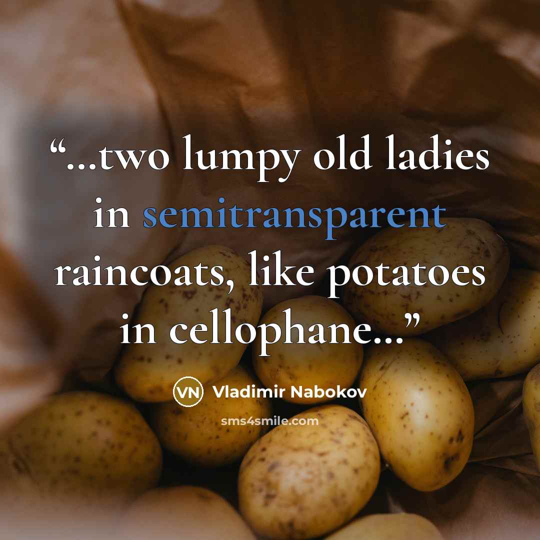 “…two lumpy old ladies in semitransparent raincoats, like potatoes in cellophane…” quote by Vladimir Nabokov