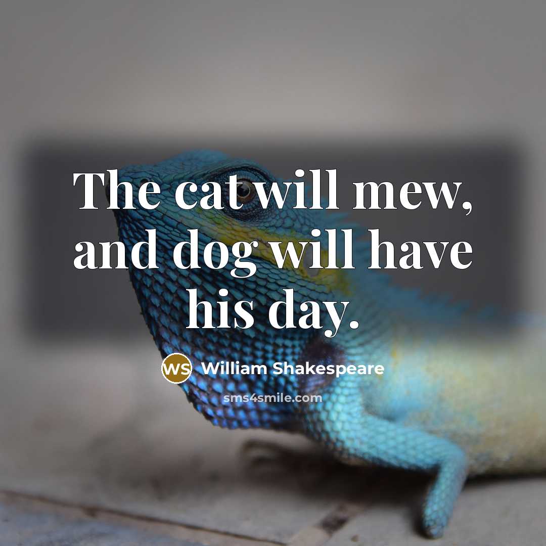 “The cat will mew, and dog will have his day.…” quote by William Shakespeare