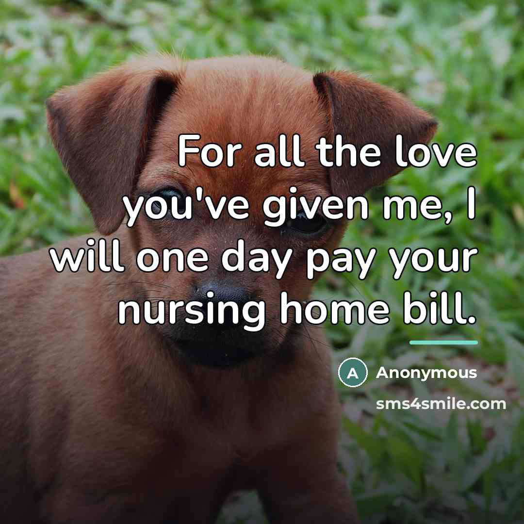 “For all the love you've given me, I will one…” quote by Anonymous
