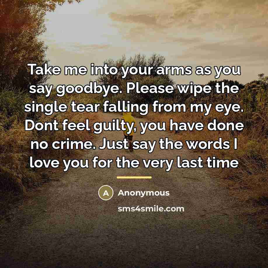 “Take me into your arms as you say goodbye. Please…” quote by Anonymous