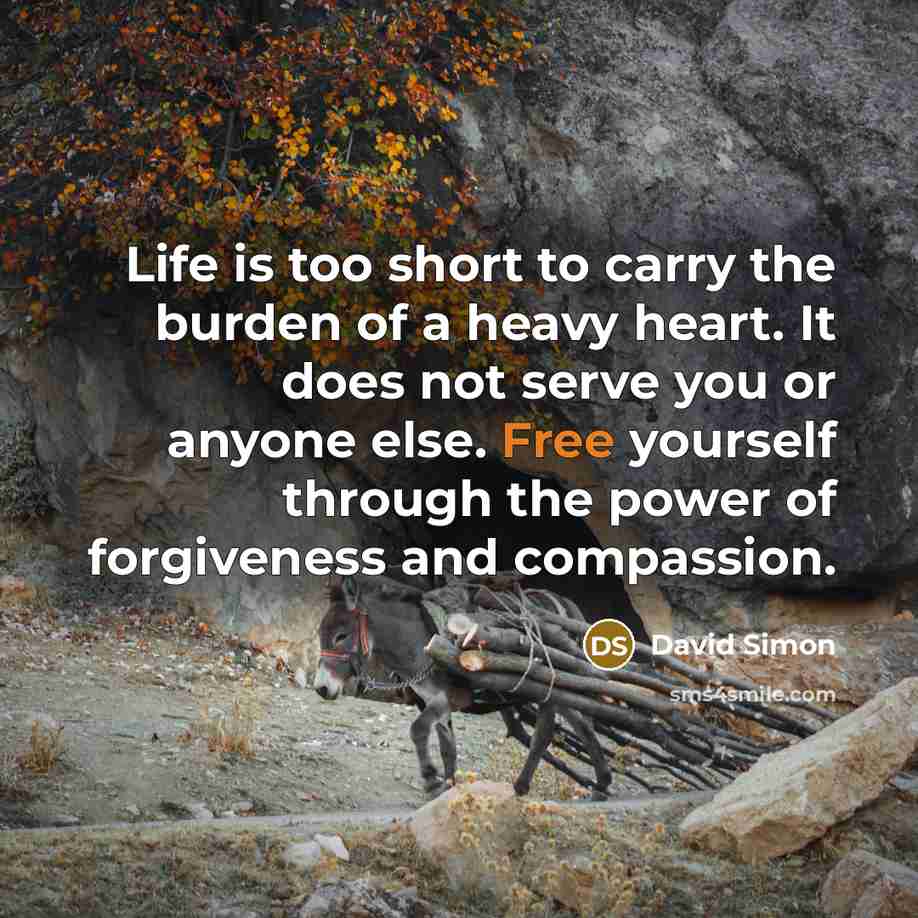 “Life is too short to carry the burden of a…” quote by David Simon