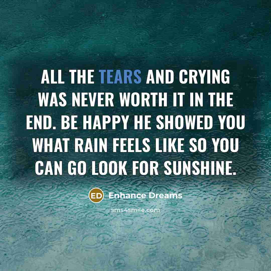 “All the tears and crying was never worth it in…” quote by Enhance Dreams