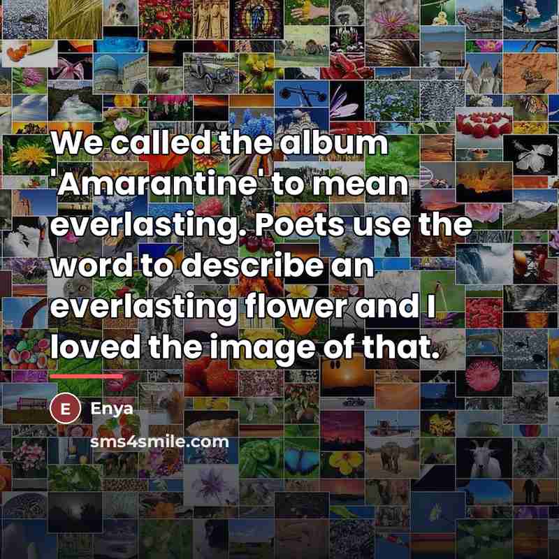 “We called the album 'Amarantine' to mean everlasting. Poets use…” quote by Enya