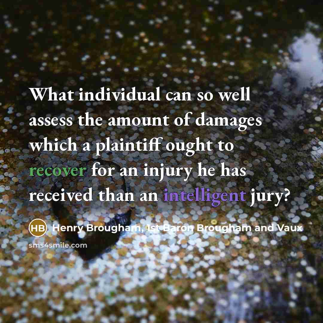 “What individual can so well assess the amount of damages…” quote by Henry Brougham, 1st Baron Brougham and Vaux