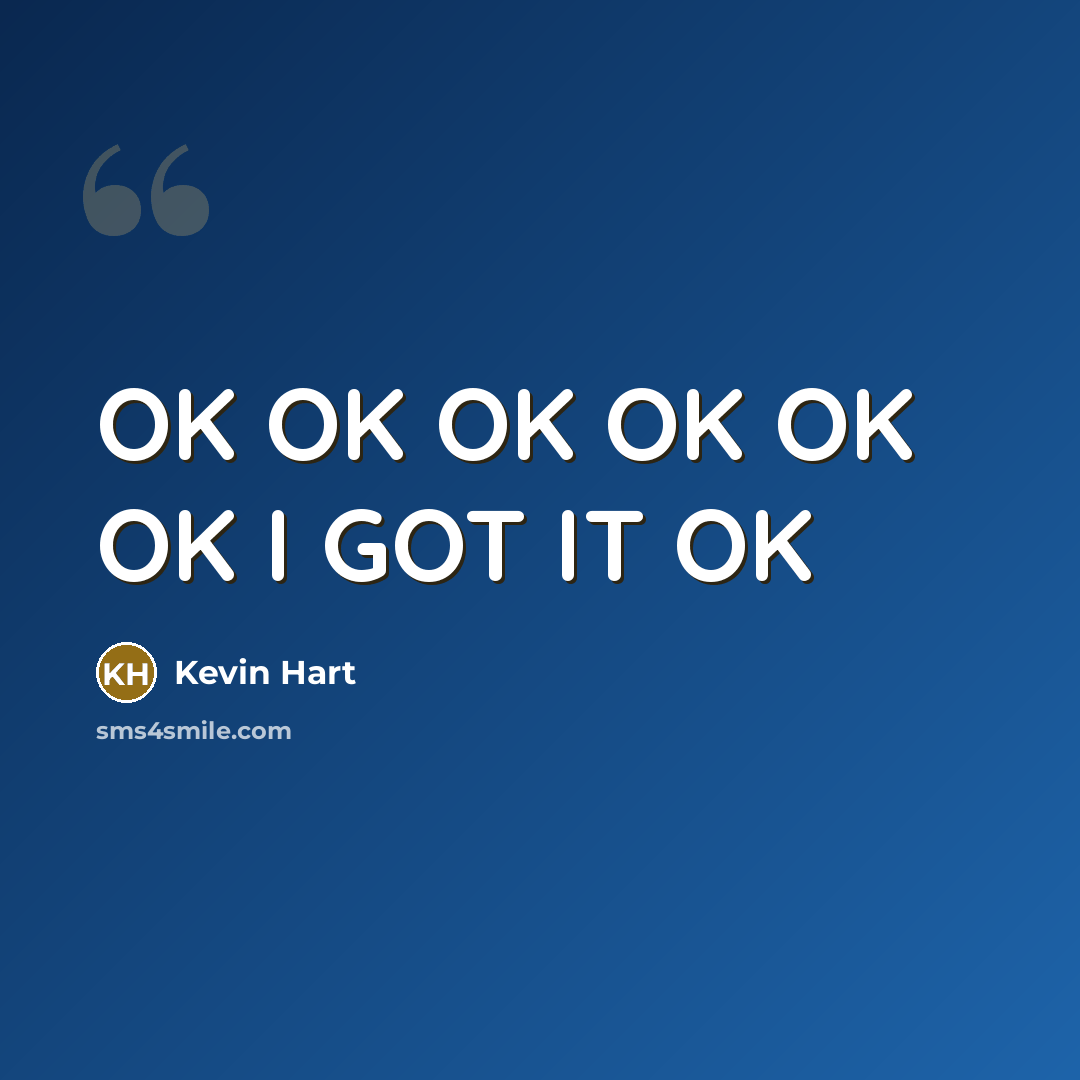 “OK OK OK OK OK OK I GOT IT OK…” quote by Kevin Hart