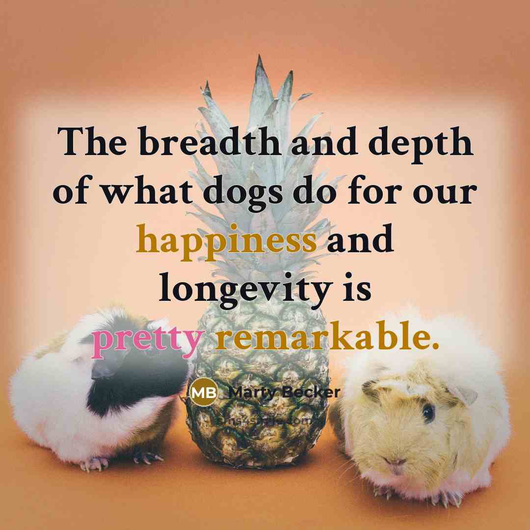 “The breadth and depth of what dogs do for our happiness and longevity is pretty remarkable.” quote by Marty Becker