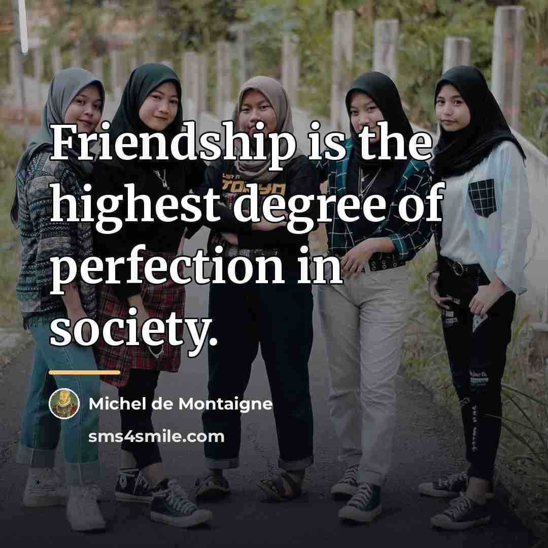 “Friendship is the highest degree of perfection in society.…” quote by Michel de Montaigne