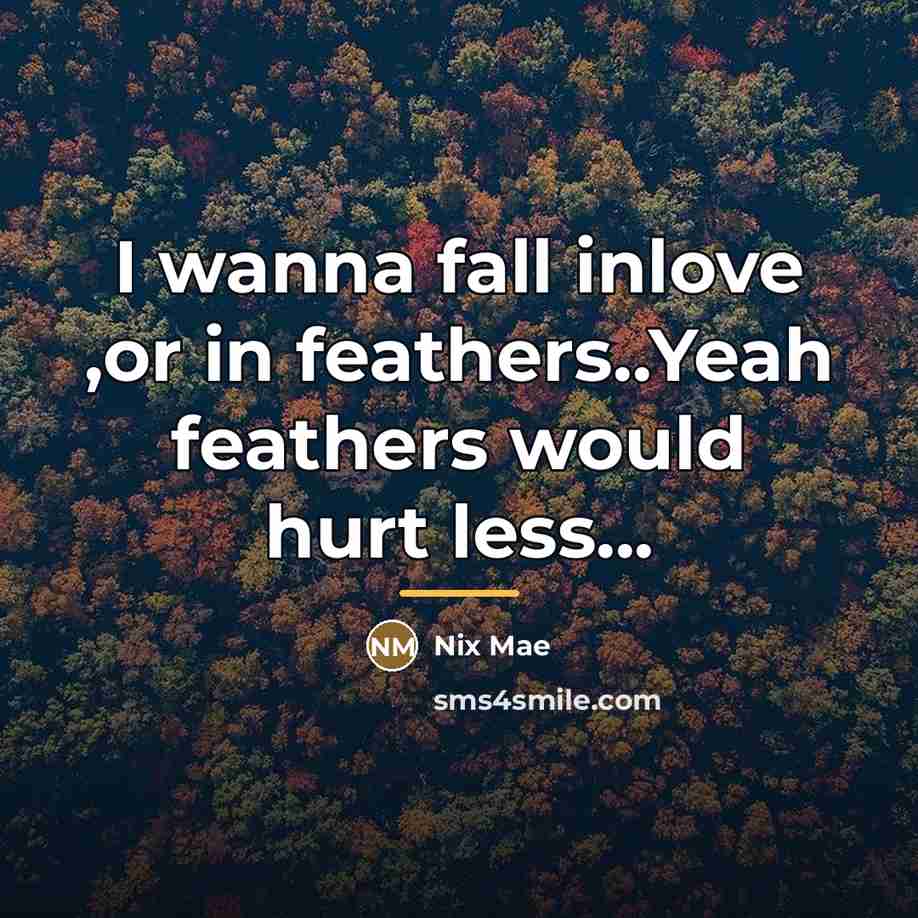 “I wanna fall inlove ,or in feathers..Yeah feathers would hurt…” quote by Nix Mae