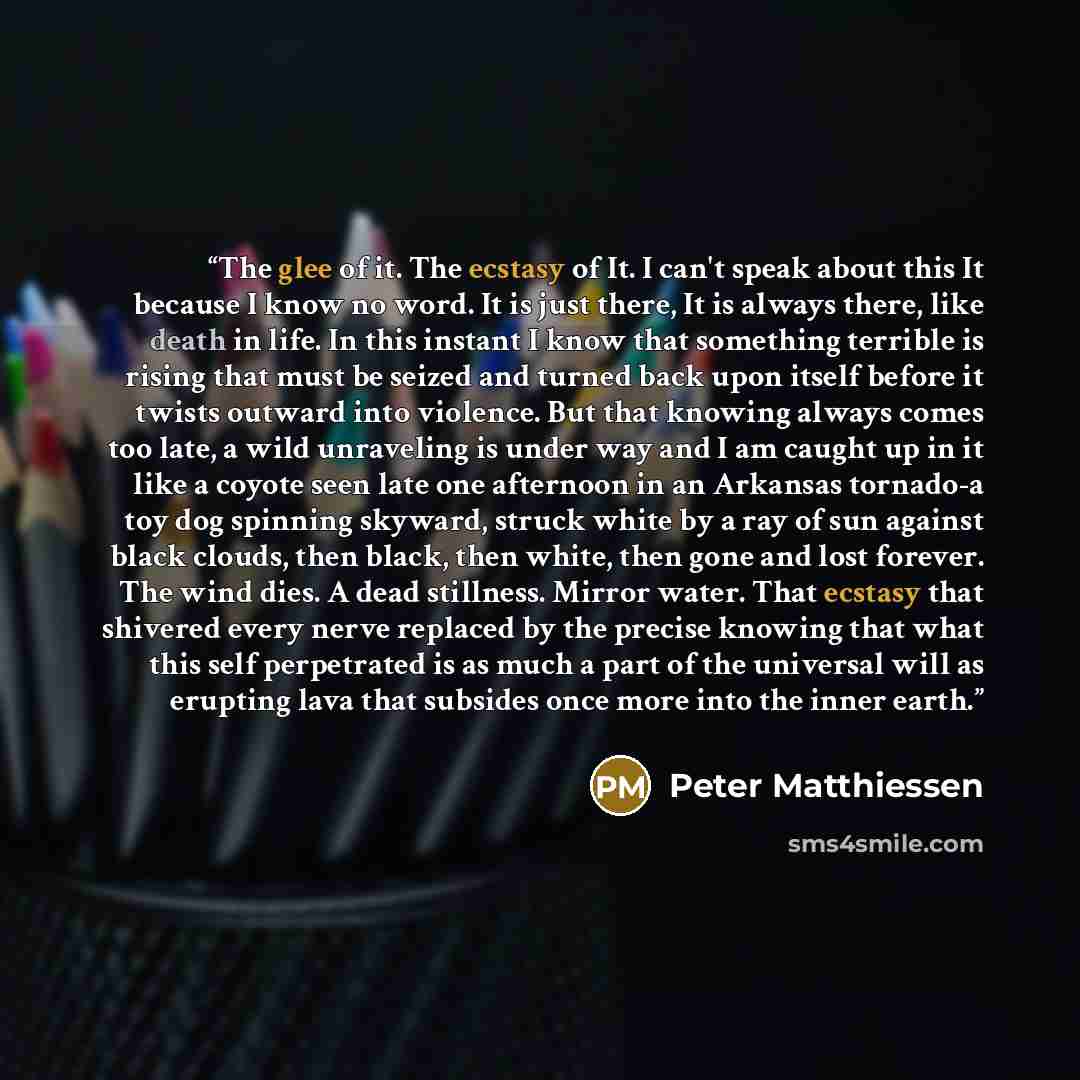 “The glee of it. The ecstasy of It. I can't speak about this It because I know no word. It is just there, It is always there, like death in life. In this instant I know that something terrible is rising that must be seized and turned back upon itself before it twists outward into violence. But that…” quote by Peter Matthiessen