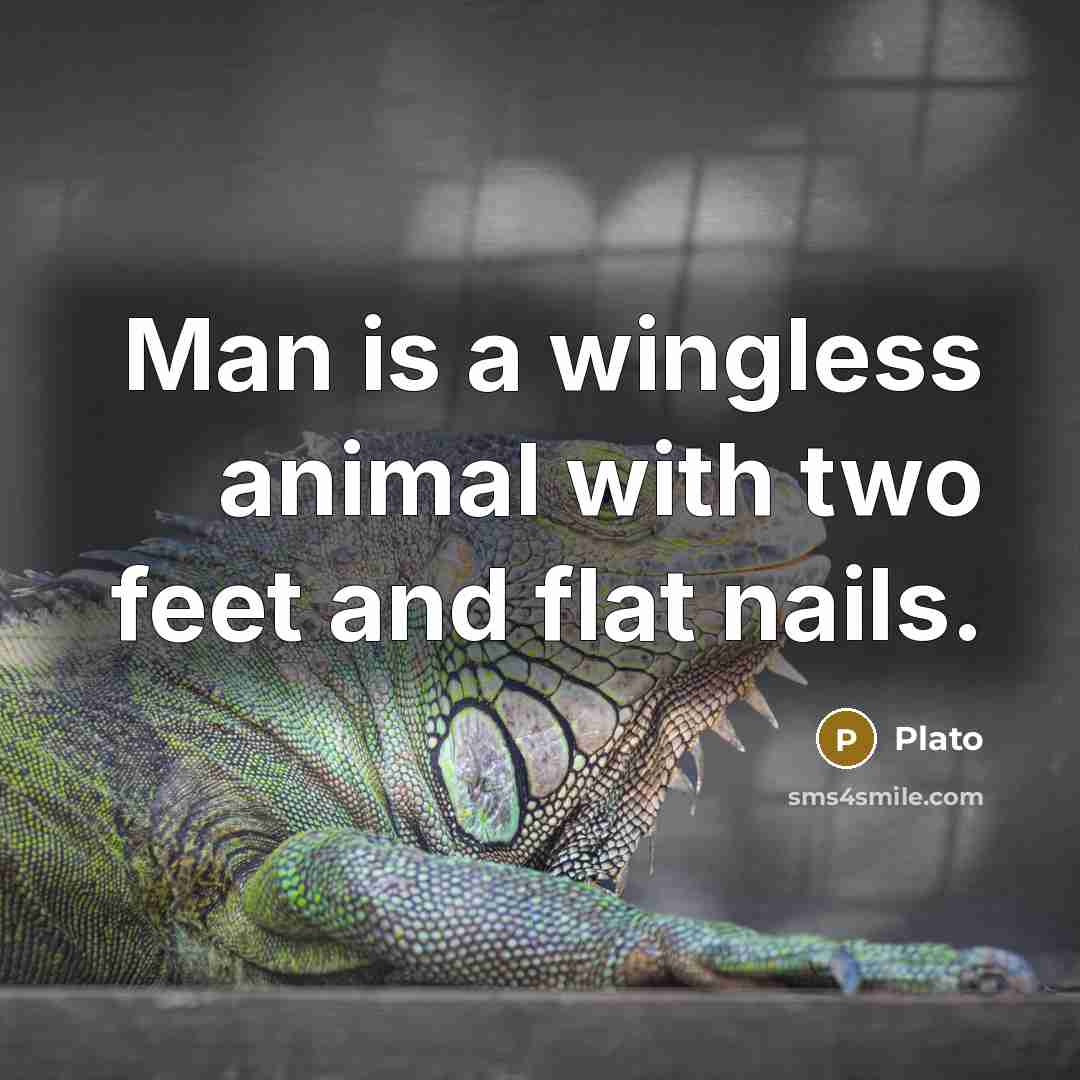 “Man is a wingless animal with two feet and flat…” quote by Plato