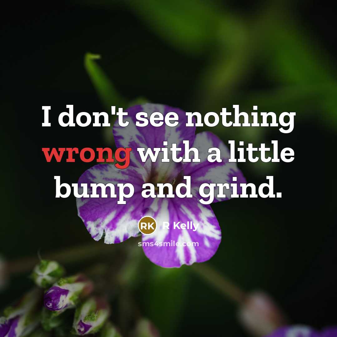 “I don't see nothing wrong with a little bump and…” quote by R Kelly