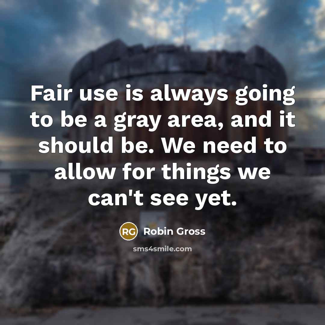 “Fair use is always going to be a gray area,…” quote by Robin Gross