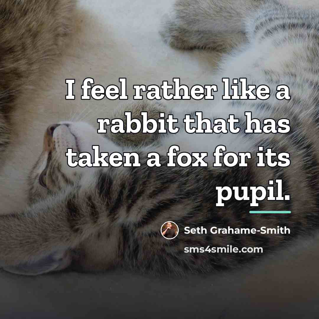 “I feel rather like a rabbit that has taken a…” quote by Seth Grahame-Smith