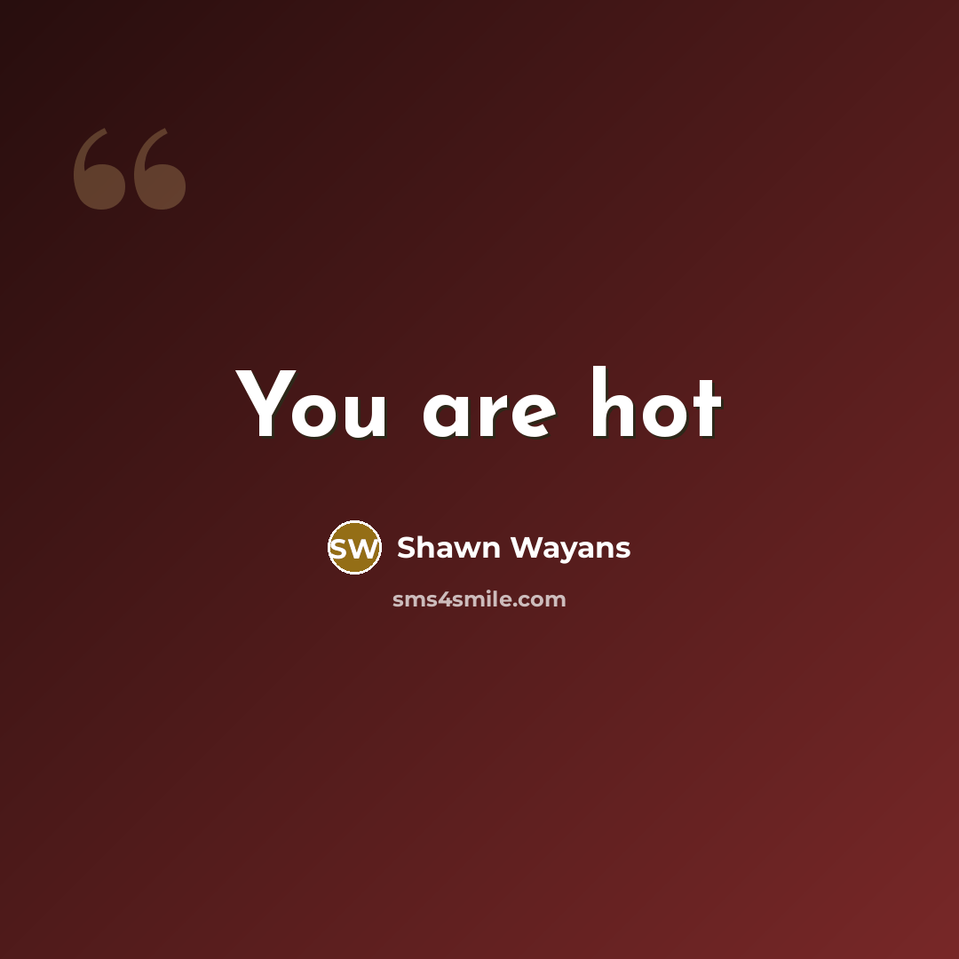 “You are hot…” quote by Shawn Wayans