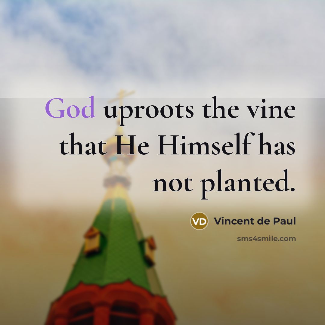 “God uproots the vine that He Himself has not planted.…” quote by Vincent de Paul