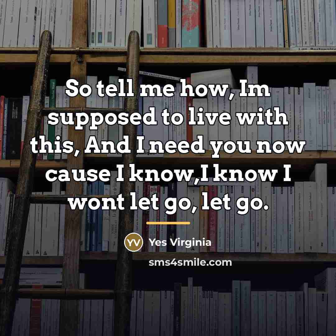 “So tell me how, Im supposed to live with this,…” quote by Yes Virginia