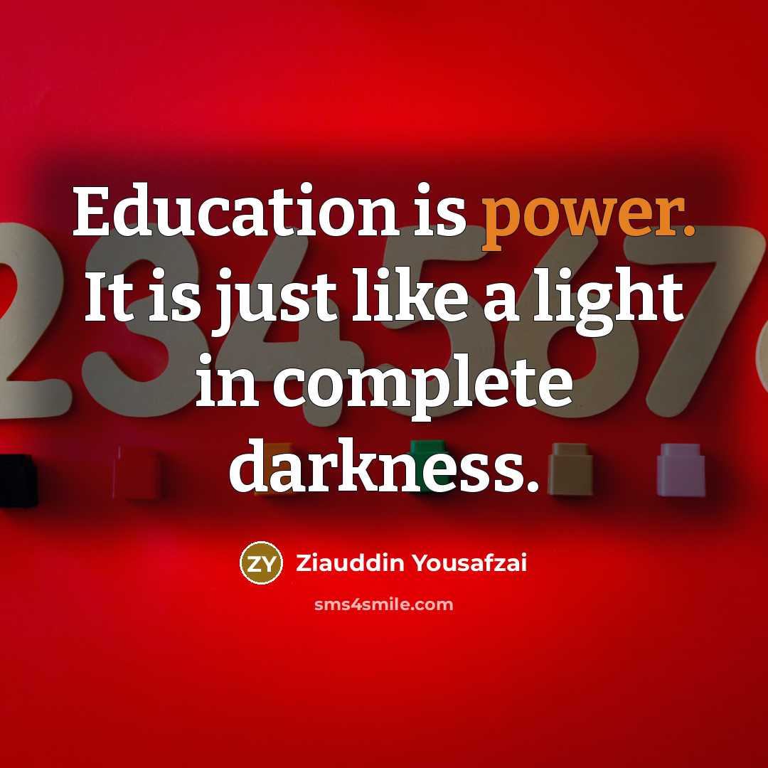 “Education is power. It is just like a light in…” quote by Ziauddin Yousafzai