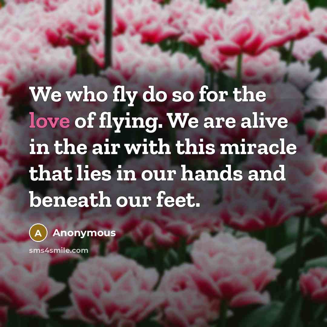 “We who fly do so for the love of flying.…” quote by Anonymous