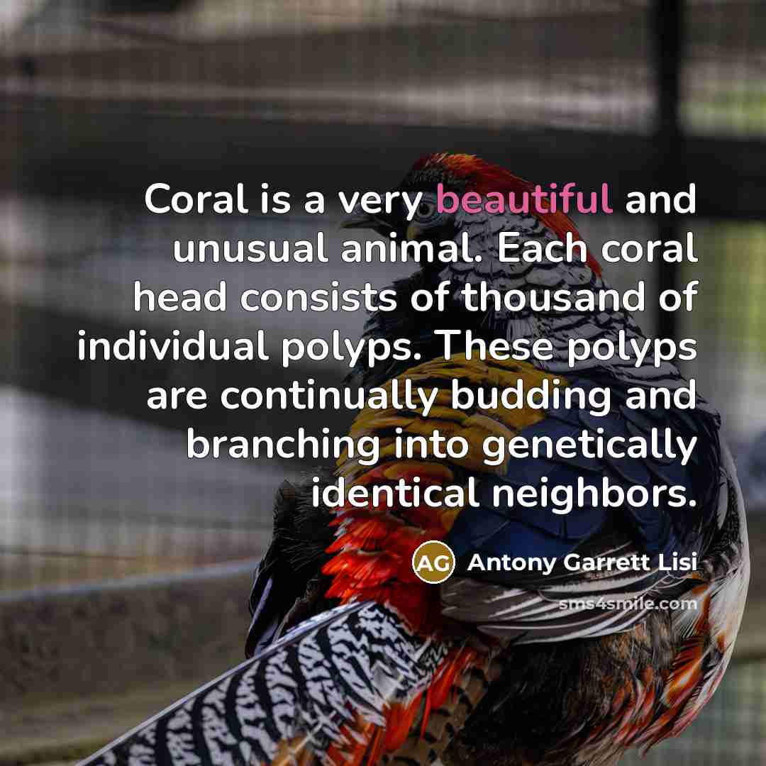 “Coral is a very beautiful and unusual animal. Each coral…” quote by Antony Garrett Lisi