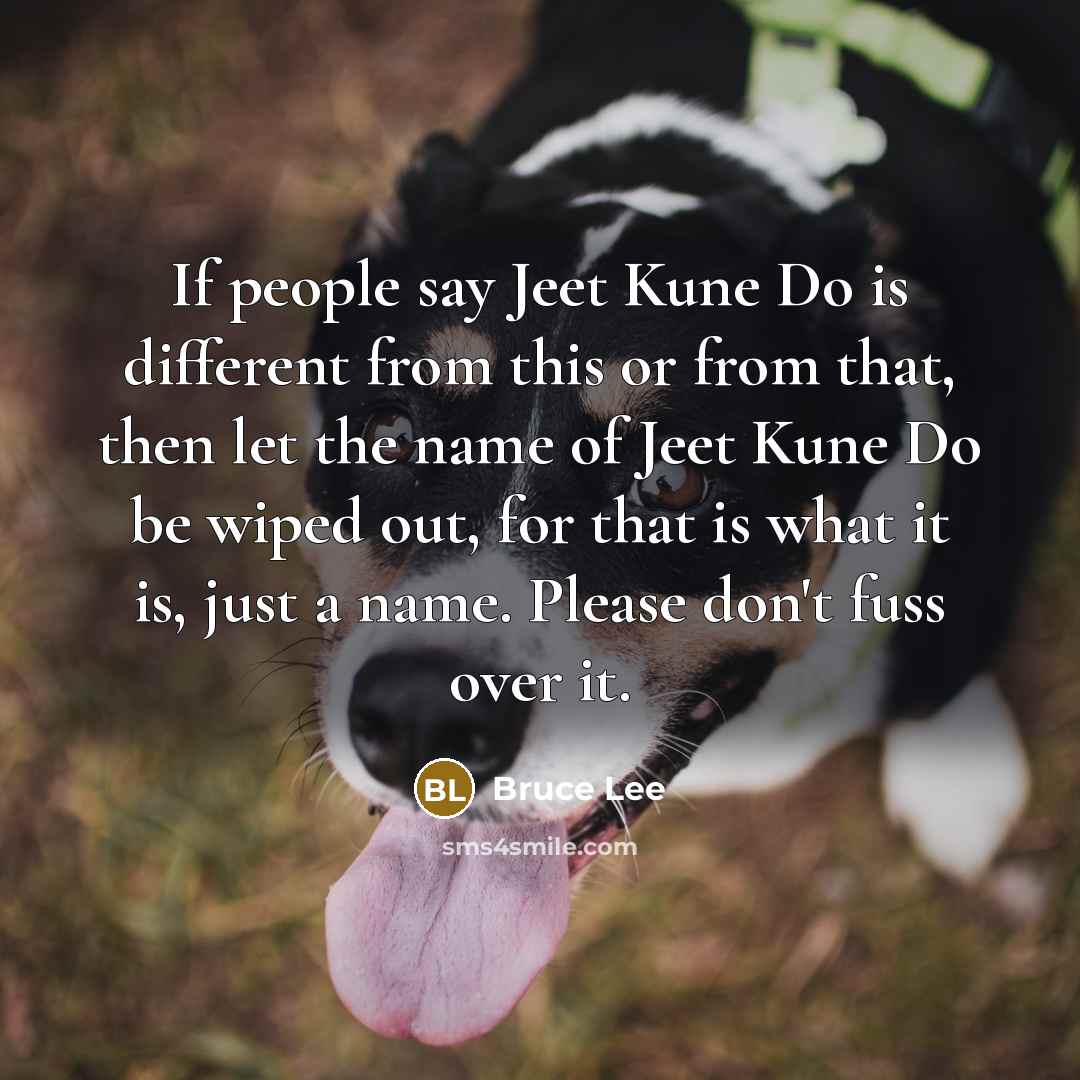“If people say Jeet Kune Do is different from this…” quote by Bruce Lee