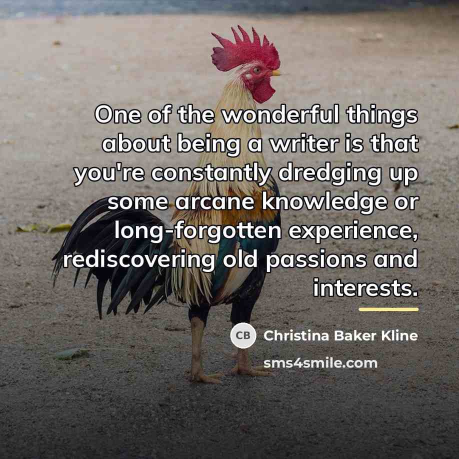 “One of the wonderful things about being a writer is…” quote by Christina Baker Kline