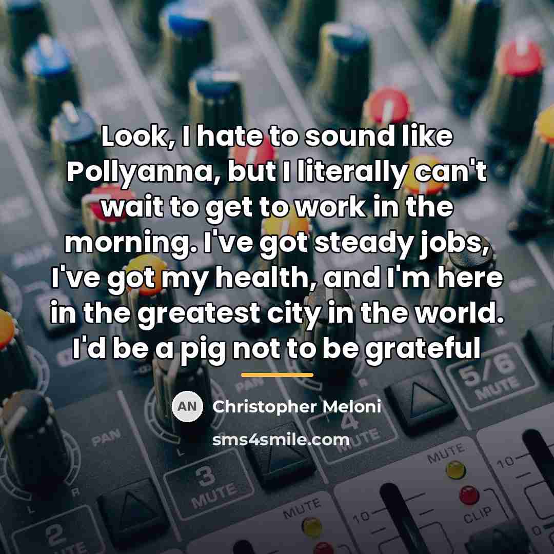 “Look, I hate to sound like Pollyanna, but I literally…” quote by Christopher Meloni