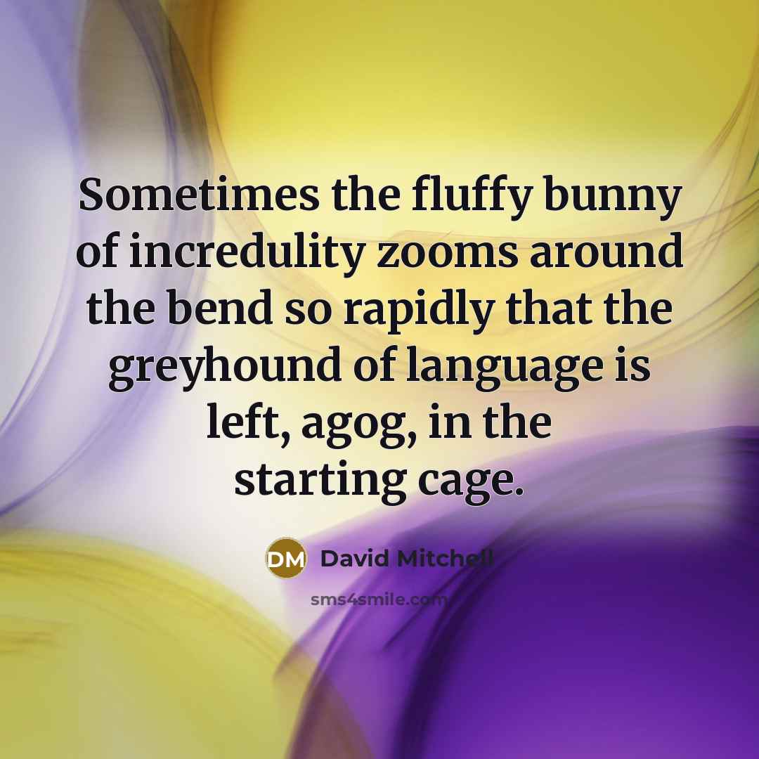 “Sometimes the fluffy bunny of incredulity zooms around the bend…” quote by David Mitchell