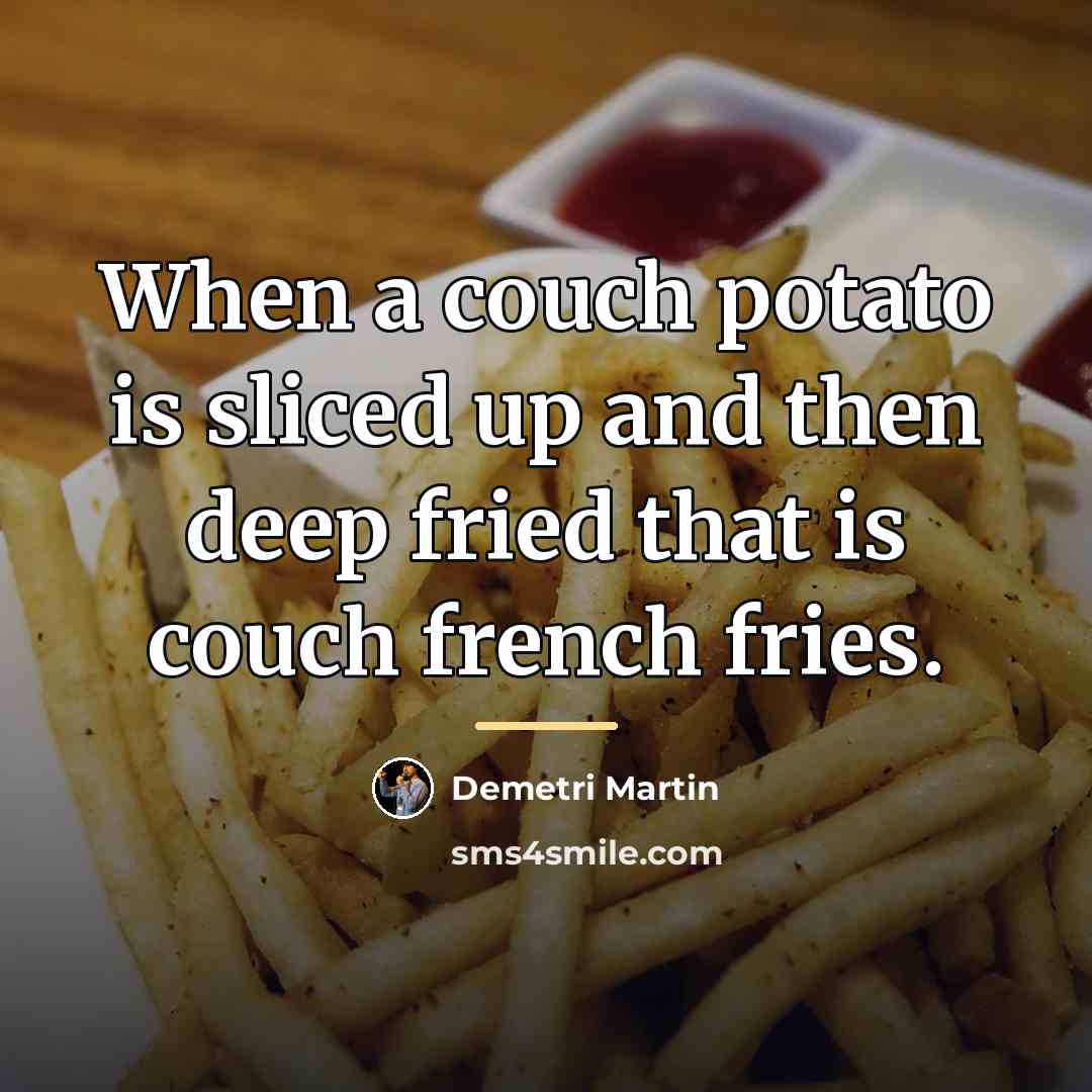 “When a couch potato is sliced up and then deep…” quote by Demetri Martin