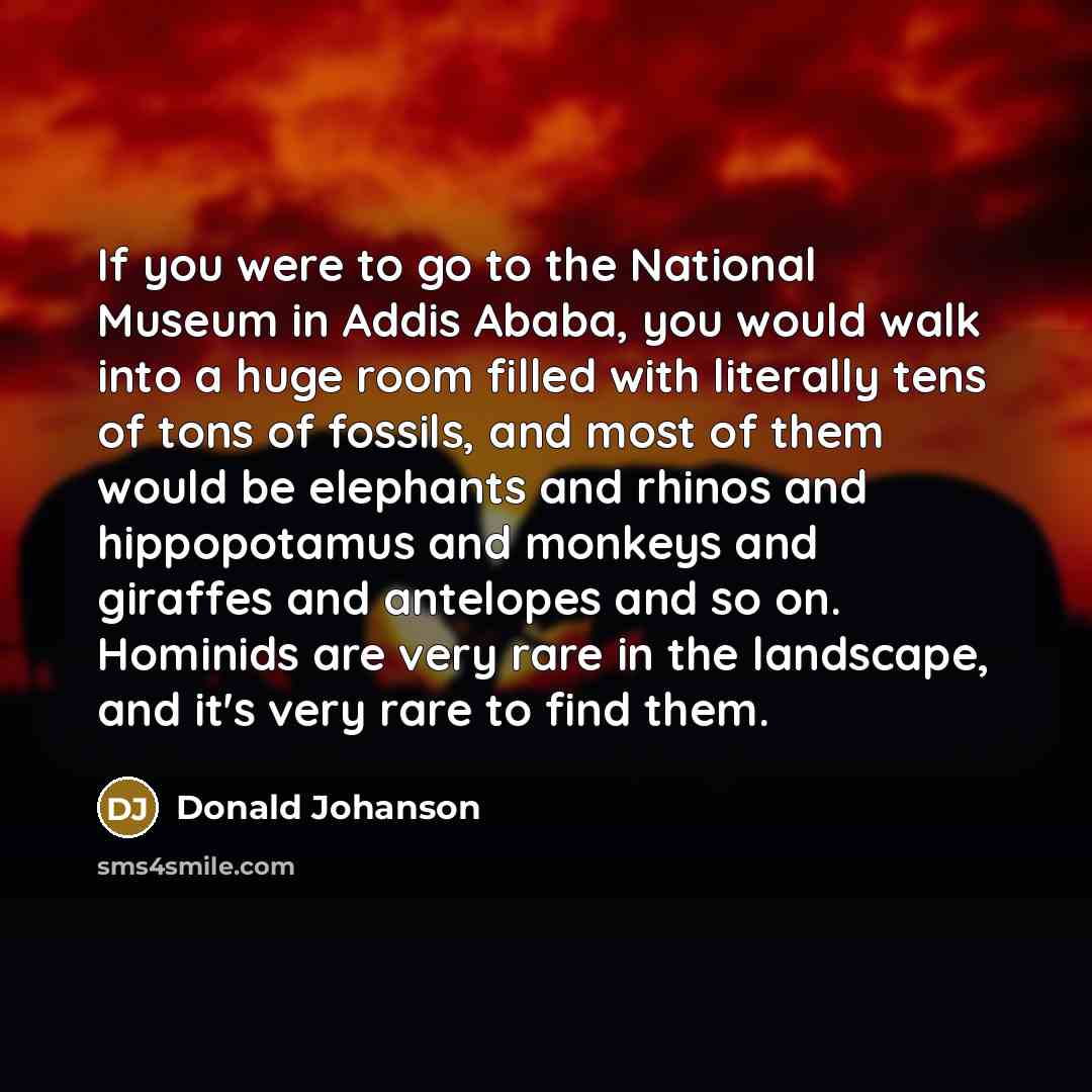 “If you were to go to the National Museum in…” quote by Donald Johanson