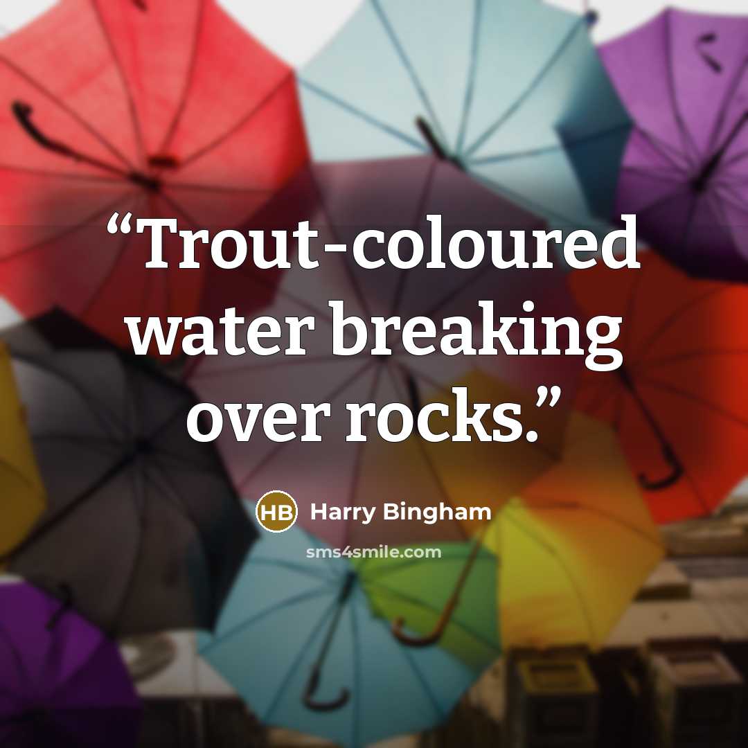 “Trout-coloured water breaking over rocks.” quote by Harry Bingham