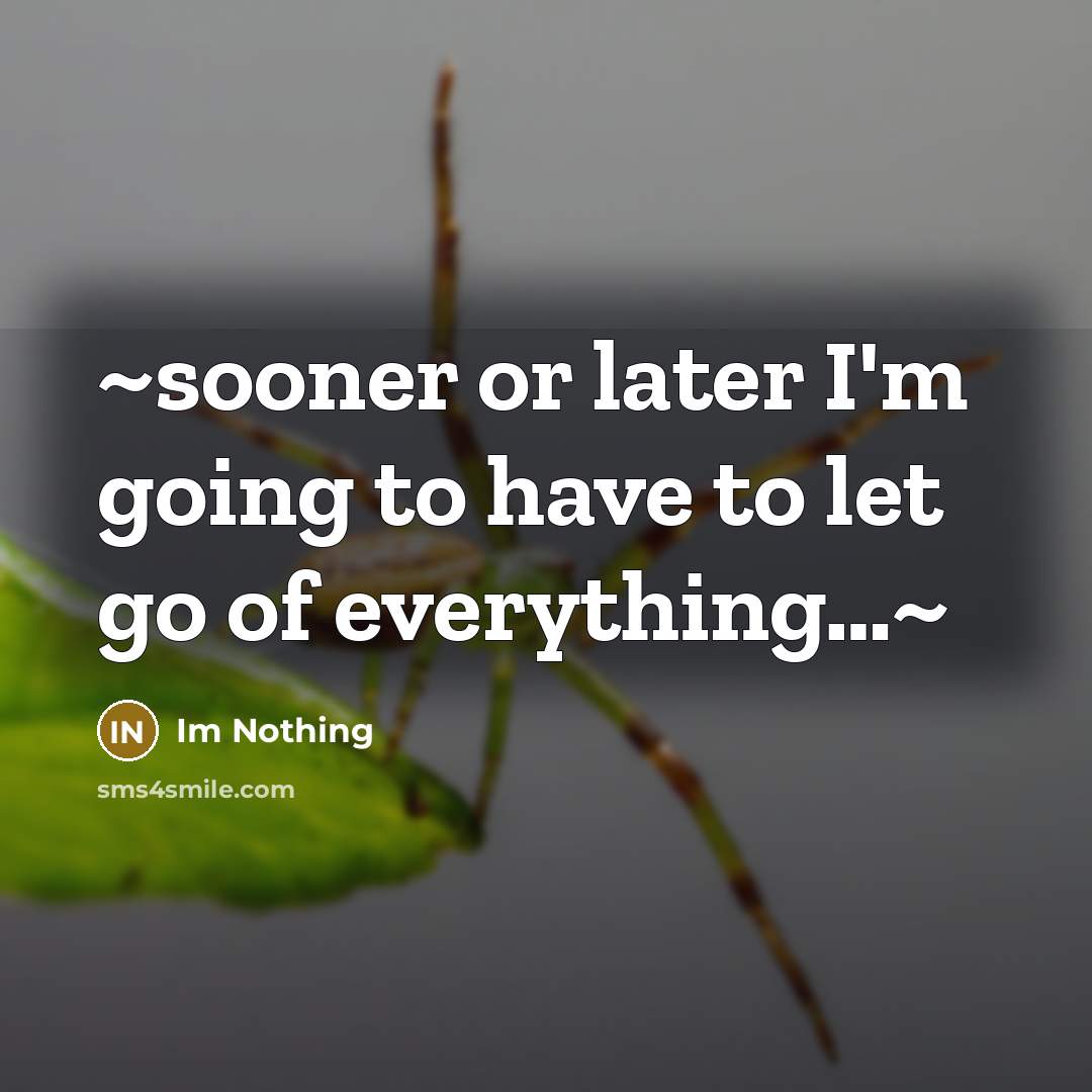 “~sooner or later I'm going to have to let go of everything…~” quote by Im Nothing