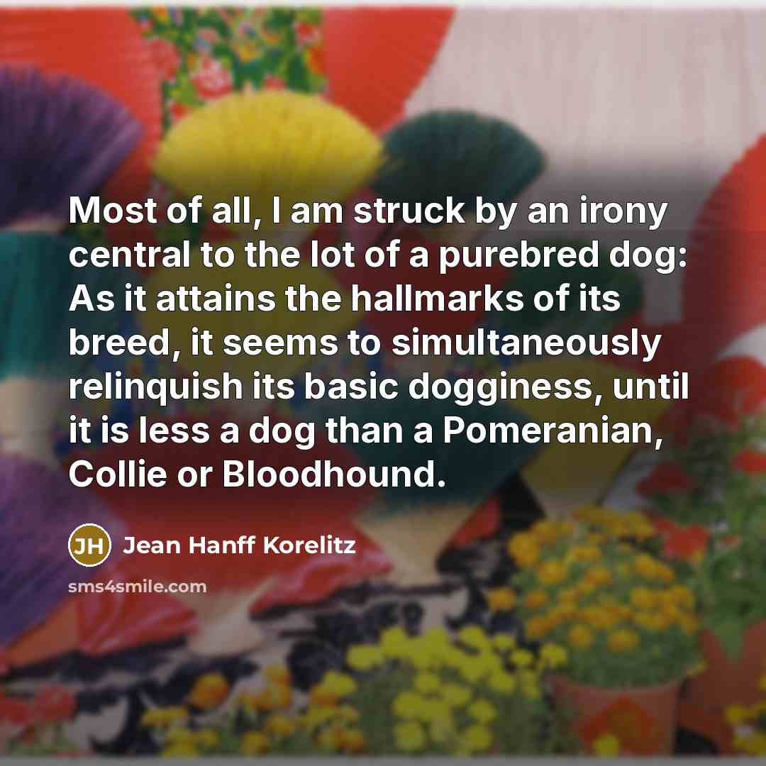 “Most of all, I am struck by an irony central…” quote by Jean Hanff Korelitz