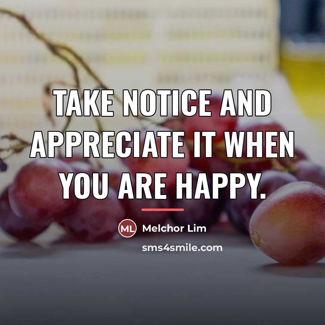 “Take notice and appreciate it when you are happy.…” quote by Melchor Lim