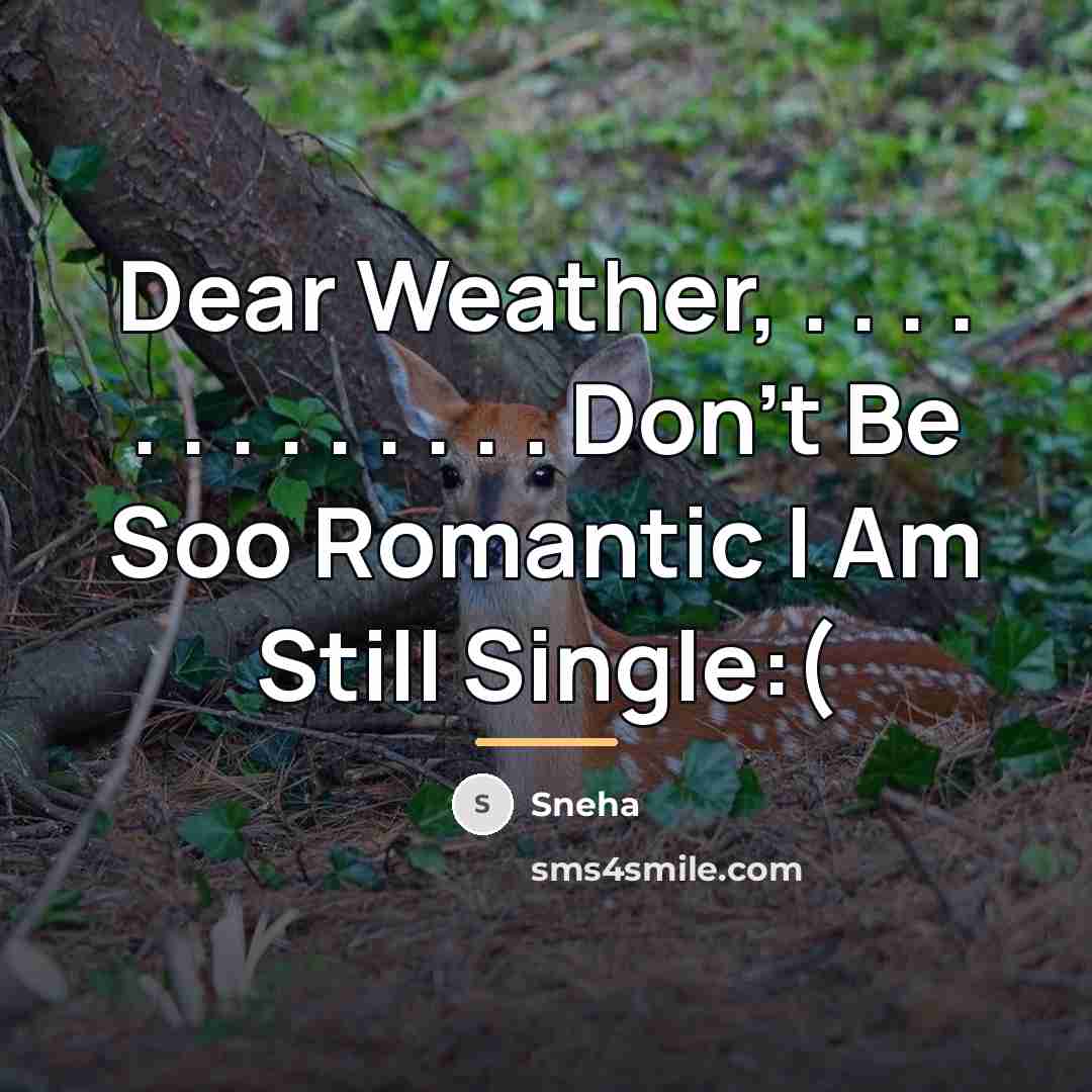 “Dear Weather, . . . . . . . .…” quote by Sneha