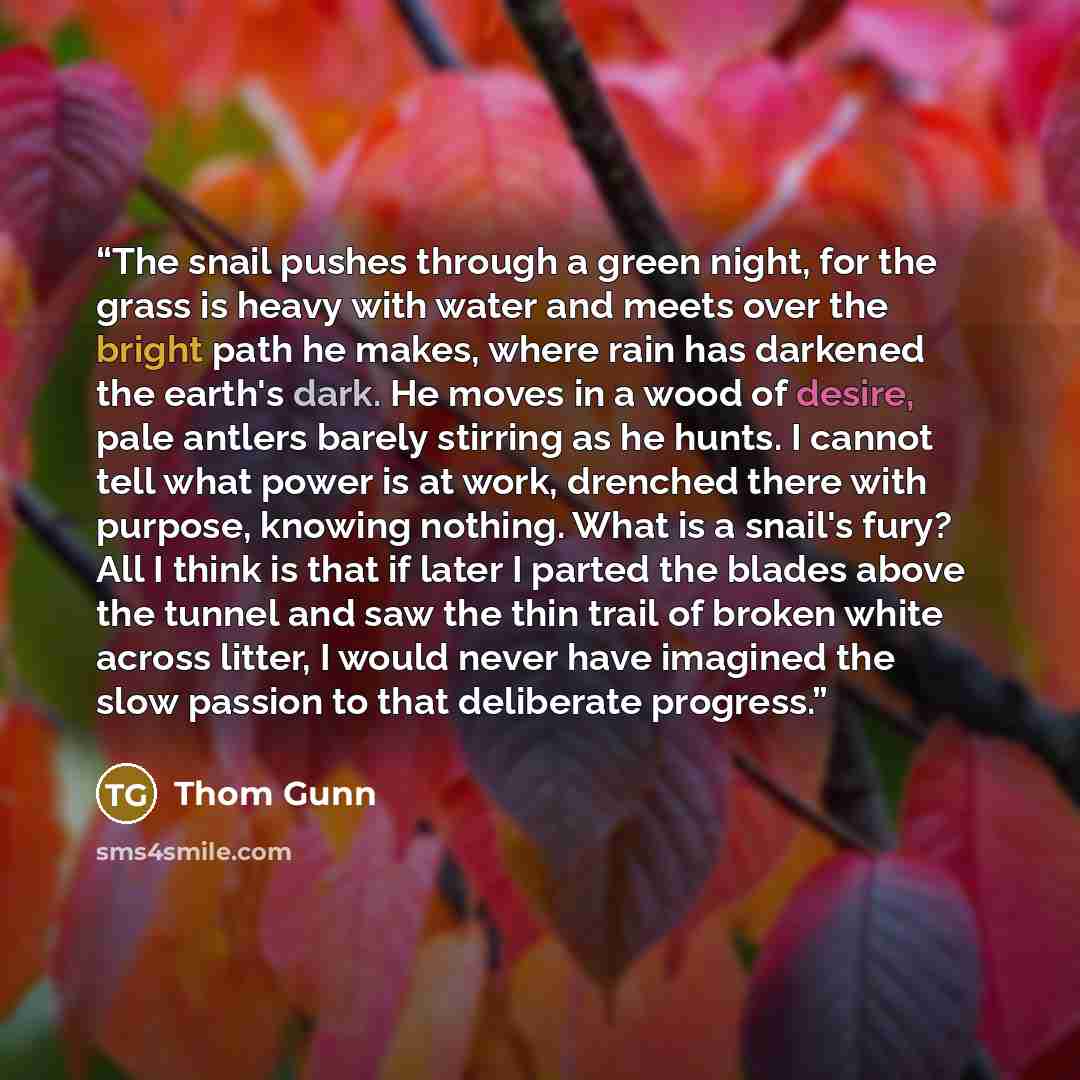 “The snail pushes through a green night, for the grass is heavy with water and meets over the bright path he makes, where rain has darkened the earth's dark. He moves in a wood of desire, pale antlers barely stirring as he hunts. I cannot tell what power is at work, drenched there with purpose…” quote by Thom Gunn