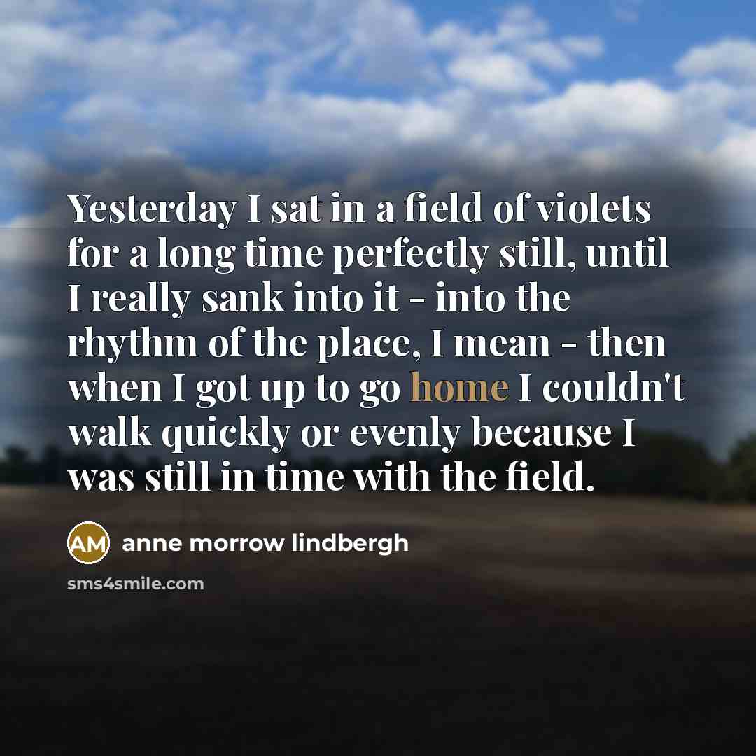 “Yesterday I sat in a field of violets for a…” quote by Anne Morrow Lindbergh