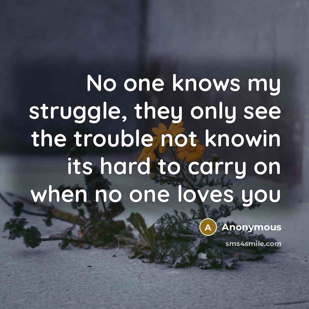“No one knows my struggle, they only see the trouble not knowin its hard to carry on when no one loves you” quote by Anonymous