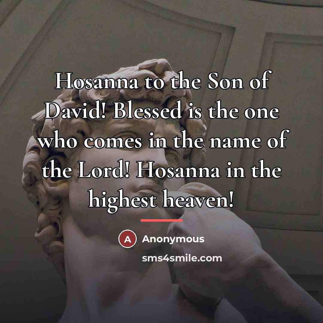 “Hosanna to the Son of David! Blessed is the one…” quote by Anonymous