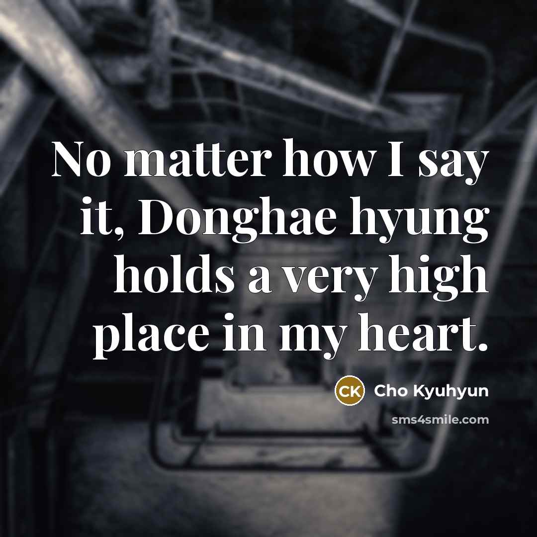 “No matter how I say it, Donghae hyung holds a…” quote by Cho Kyuhyun