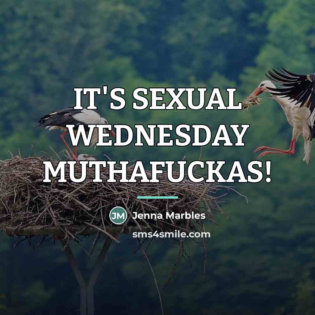 “IT'S SEXUAL WEDNESDAY MUTHAFUCKAS!…” quote by Jenna Marbles